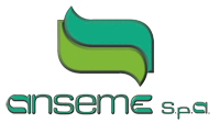 LOGO-ANSEME