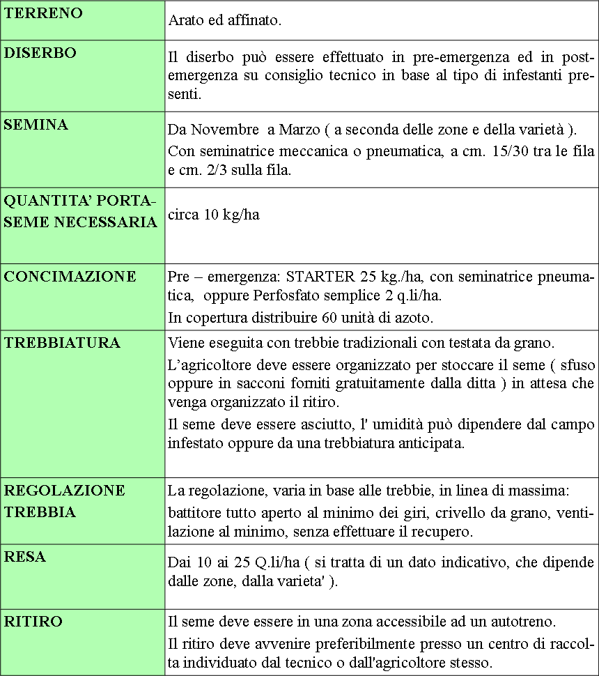 Schema tecnica