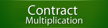 contracts